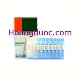 Dung dịch khí dung Combivent